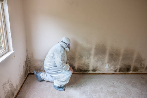 Best Crawl Space Mold Remediation  in Glenwood, GA